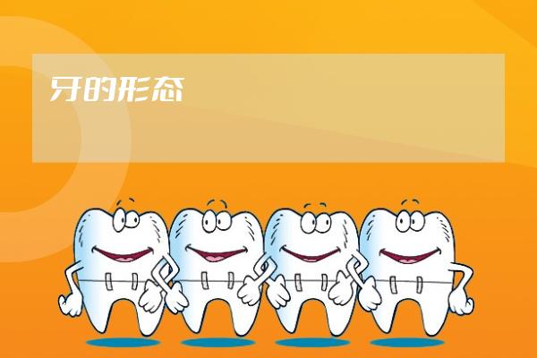 牙的形態(tài)