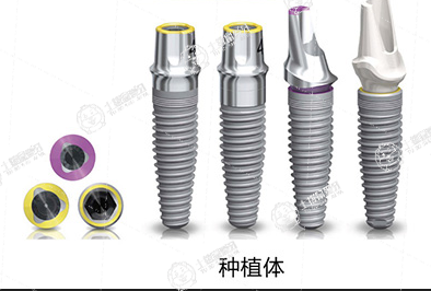 瑞士iti種植牙多少錢一顆