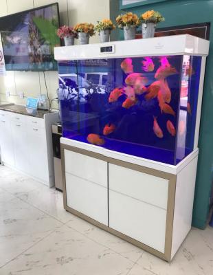 上海虹橋醫(yī)院口腔科