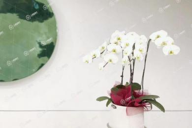 杭州貝佳齒科