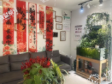 沈陽(yáng)大東致遠(yuǎn)口腔門(mén)診部